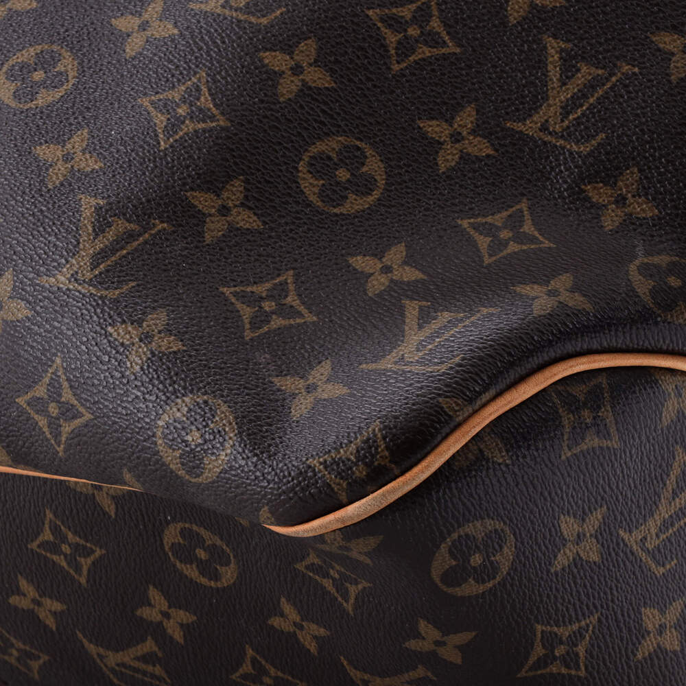 Louis Vuitton Delightful Handbag Canvas #249847L12B - Picture 6 of 8
